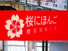 -樱花国际日语(人广中心)