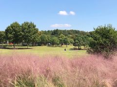 -钟山体育运动公园