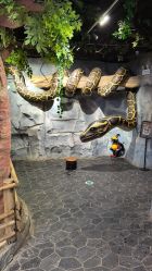 -Zoolung Zoolung动物主题公园(海信广场店)