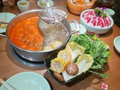 -掂档潮汕牛肉火锅(沈阳万象城店)