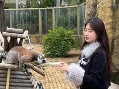 -灵玲国际马戏城