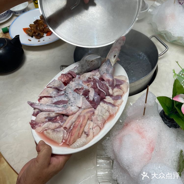 🐟无鱼生不夏天#