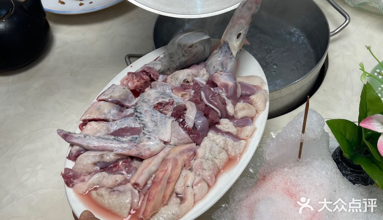 🐟无鱼生不夏天#