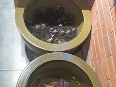 -鸽子窝(宋庄店)