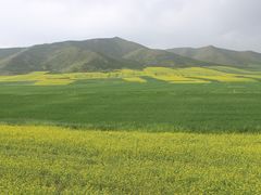 -扁都口生态休闲旅游区