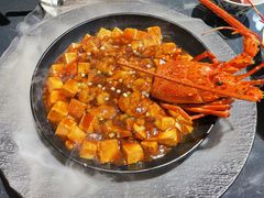 小青龙爱上麻婆-临江·阅炉