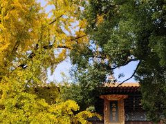 -宝通禅寺
