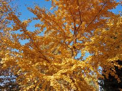 -长辛店二七公园