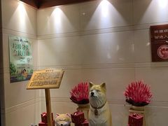 -大江户·温泉洗浴(浑南店)