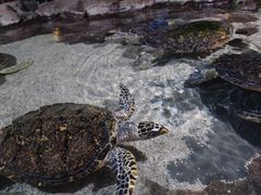 -郑州海洋馆