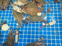 -大锅强·蒸海鲜青岛菜(吾悦广场店)