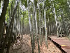 -苏州环秀晓筑养生度假村