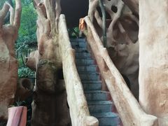 -天门沟九州驿站树上汤泉