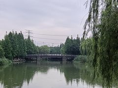 -九里河湿地公园