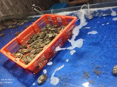 -原乡故事里海鲜大餐(玉祥门北马道巷店)