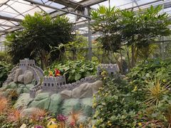 -南宫五洲植物乐园