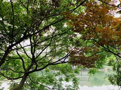 -白马涧龙池景区