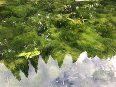-兰溪青年公园