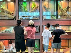 -帕帕拉兹宠物(亚洲旗舰店)