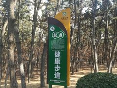 -林海公园