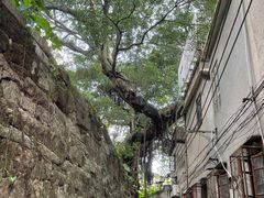 -揭阳学宫(榕城区)