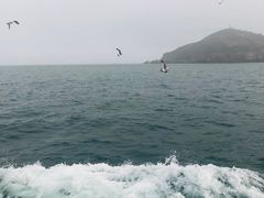 -海驴岛(荣成市)