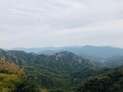 -大岭沟猕猴桃谷风景区