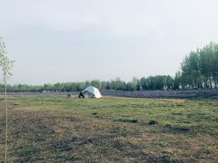 -洨河生态公园
