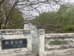 -广富林郊野公园