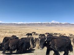 -青海湖国家重点风景名胜区