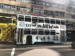 -DFS迪斐世(香港广东道店)