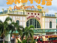 -Big Bus Tours 敞篷观光巴士