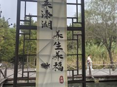 -溱湖国家湿地公园