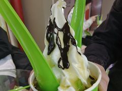 -Salud撒露欧洲冻酸奶(北苑上品店)