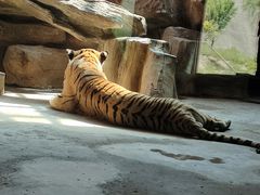 -鄂尔多斯野生动物园