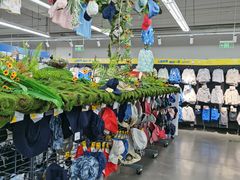 -迪卡侬(西三旗店)