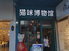 -猫咪博物馆(顶澳仔猫街店)