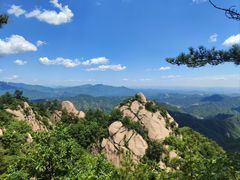 -六里坪国家森林公园