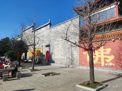 -长沙黑麋峰国家森林公园