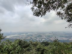 -紫金山山顶公园