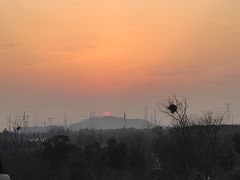 -广富林郊野公园