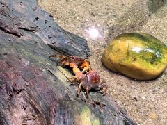 -正佳雨林生态植物园