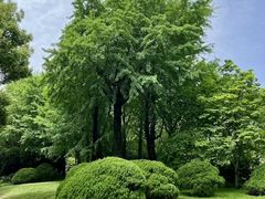 -南京东郊国宾馆