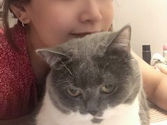 -瑞派雷欧宠物医院·24h夜诊·心脏骨科牙科·全科重症转诊中心(无影山店)