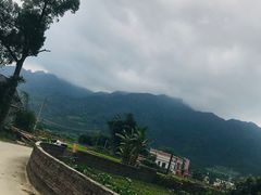 -罗坑大草原