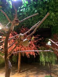 -酷嗒动物文化乐园(cutezoo西溪乐天城店)