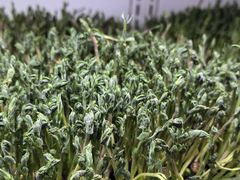 -番食园鲜食火锅(高新店)