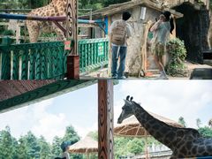 -贵州森林野生动物园