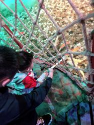 -酷嗒动物文化乐园(cutezoo西溪乐天城店)