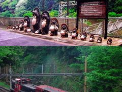 -岚山嵯峨野观光小火车